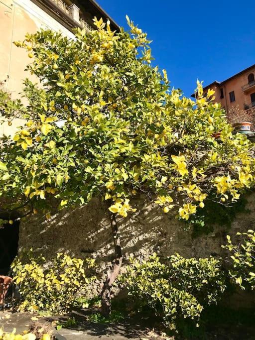 Villa Livia La Spezia Buitenkant foto